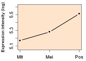 plot image