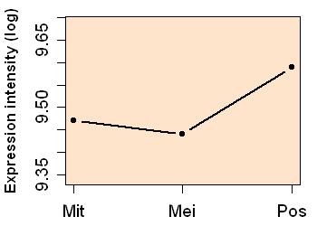 plot image