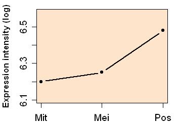 plot image