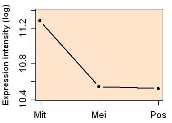 plot image