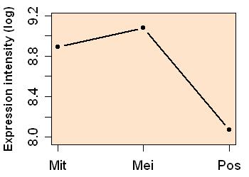 plot image