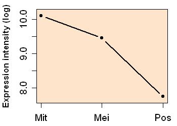 plot image