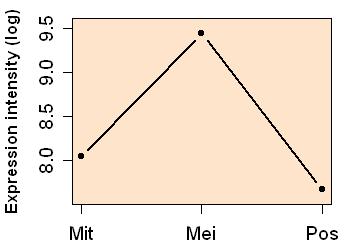 plot image