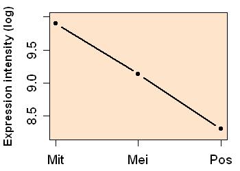 plot image