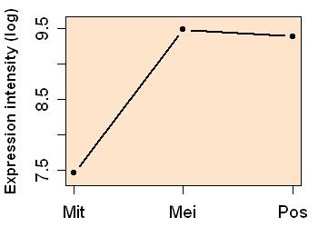 plot image