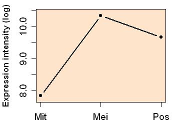 plot image