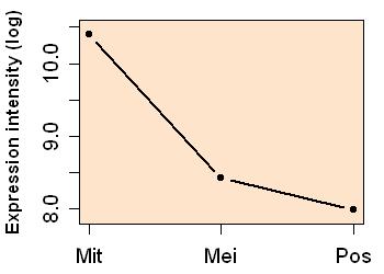 plot image