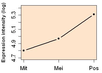 plot image