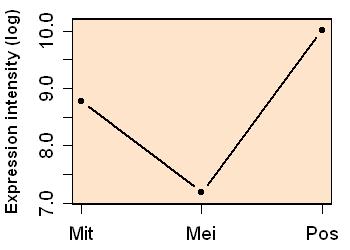 plot image