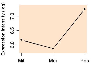 plot image