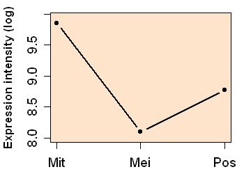 plot image