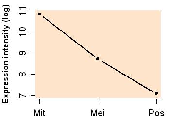 plot image