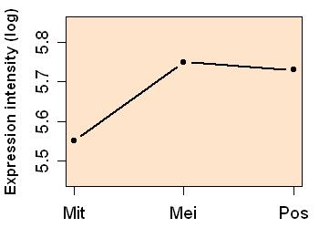 plot image