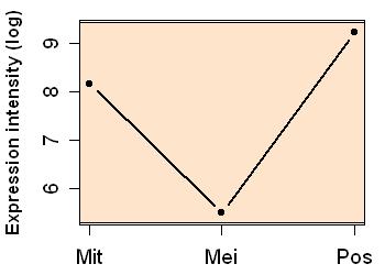 plot image