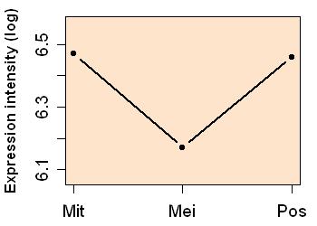 plot image