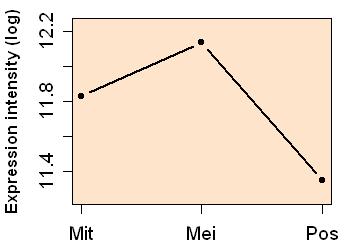 plot image