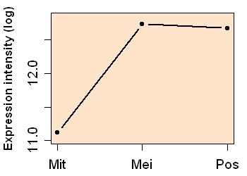 plot image