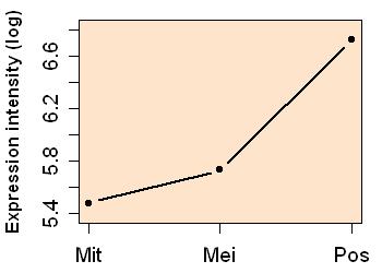 plot image