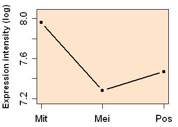 plot image