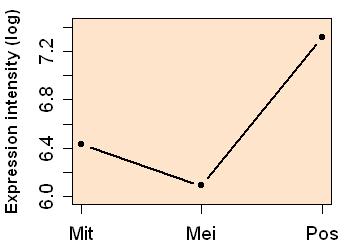 plot image