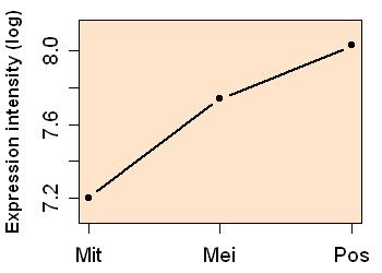 plot image