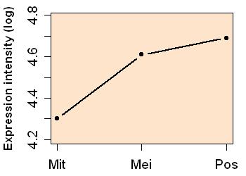 plot image