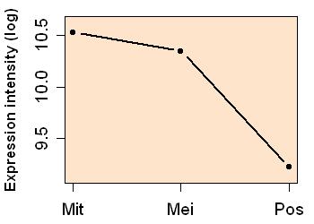 plot image