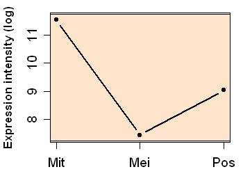 plot image