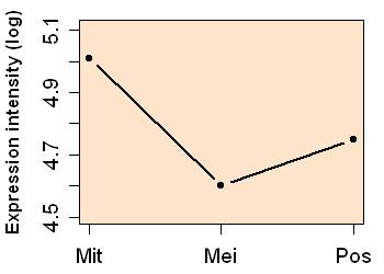 plot image