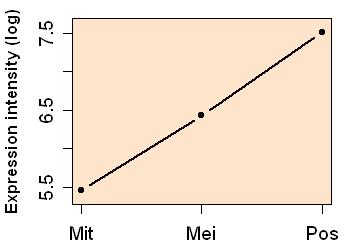 plot image