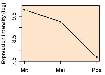 plot image