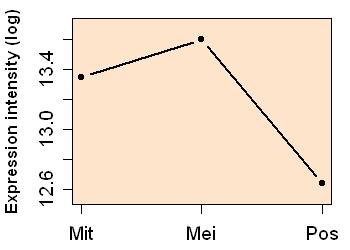 plot image