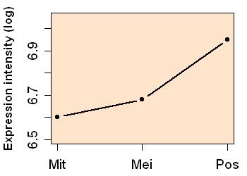 plot image