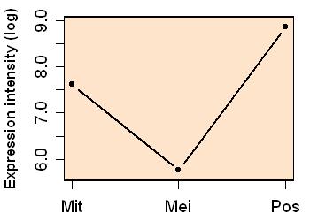 plot image