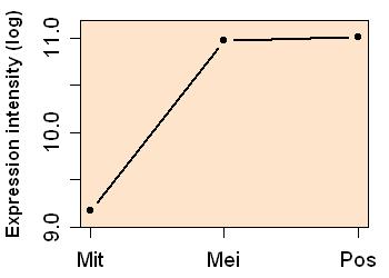 plot image