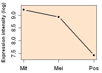 plot image