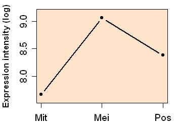 plot image